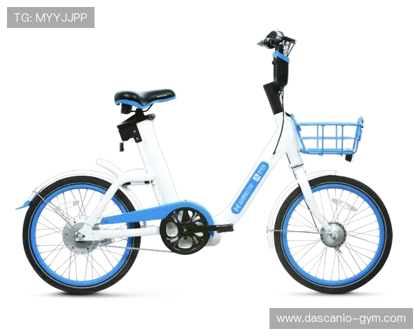 飞驰在线官网：让您的出行计划变得简单高效